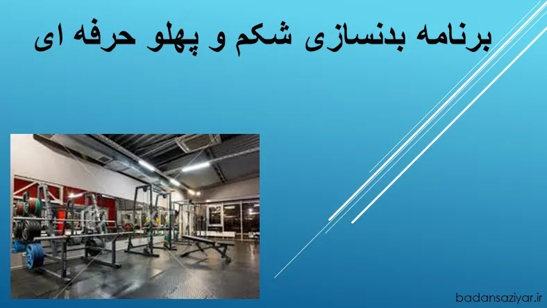 برنامه بدنسازی شکم و پهلو حرفه ای