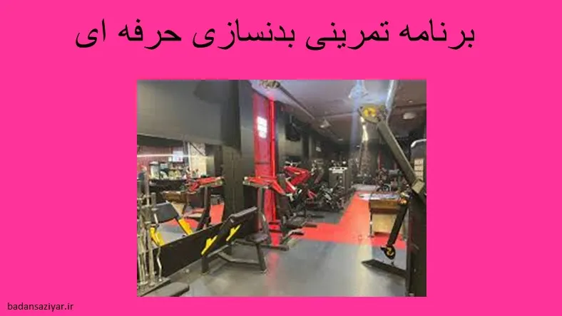 برنامه تمرینی بدنسازی حرفه ای