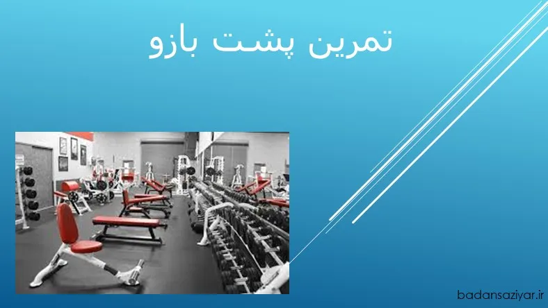 تمرین پشت بازو