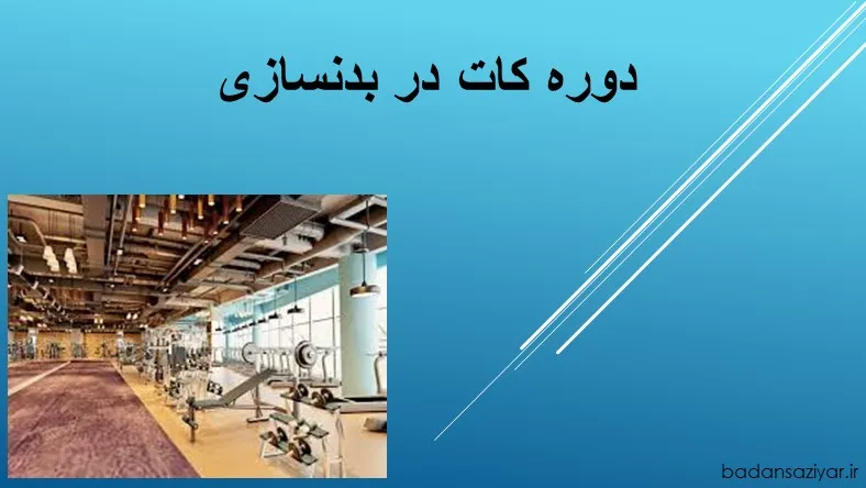 دوره کات در بدنسازی